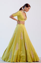Lime Green Resham Embroidered Cotton Silk Lehenga