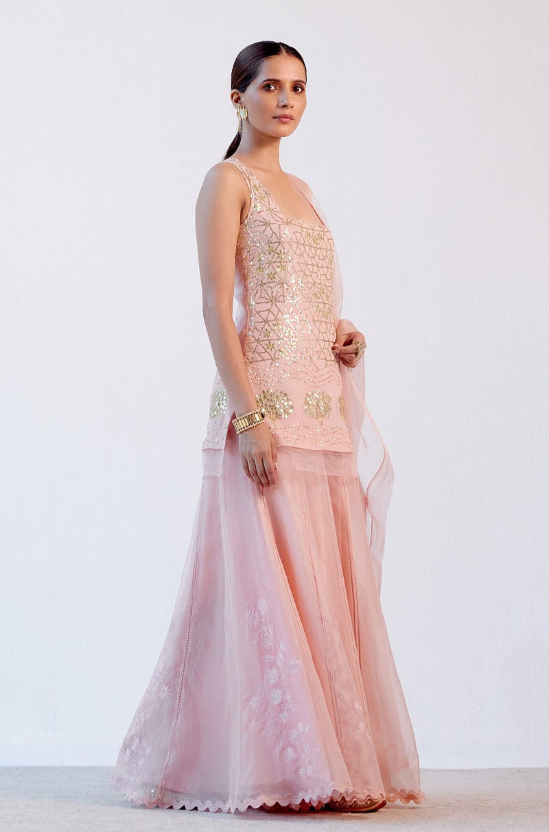 Sagarika Ghatge Khan in Blush Pink Georgette Sharara  Set