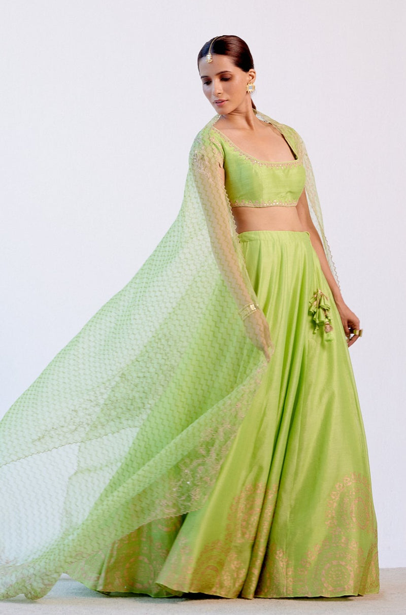 Green Hand Block Print Lehenga