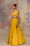 Mustard Organza Lehenga Set