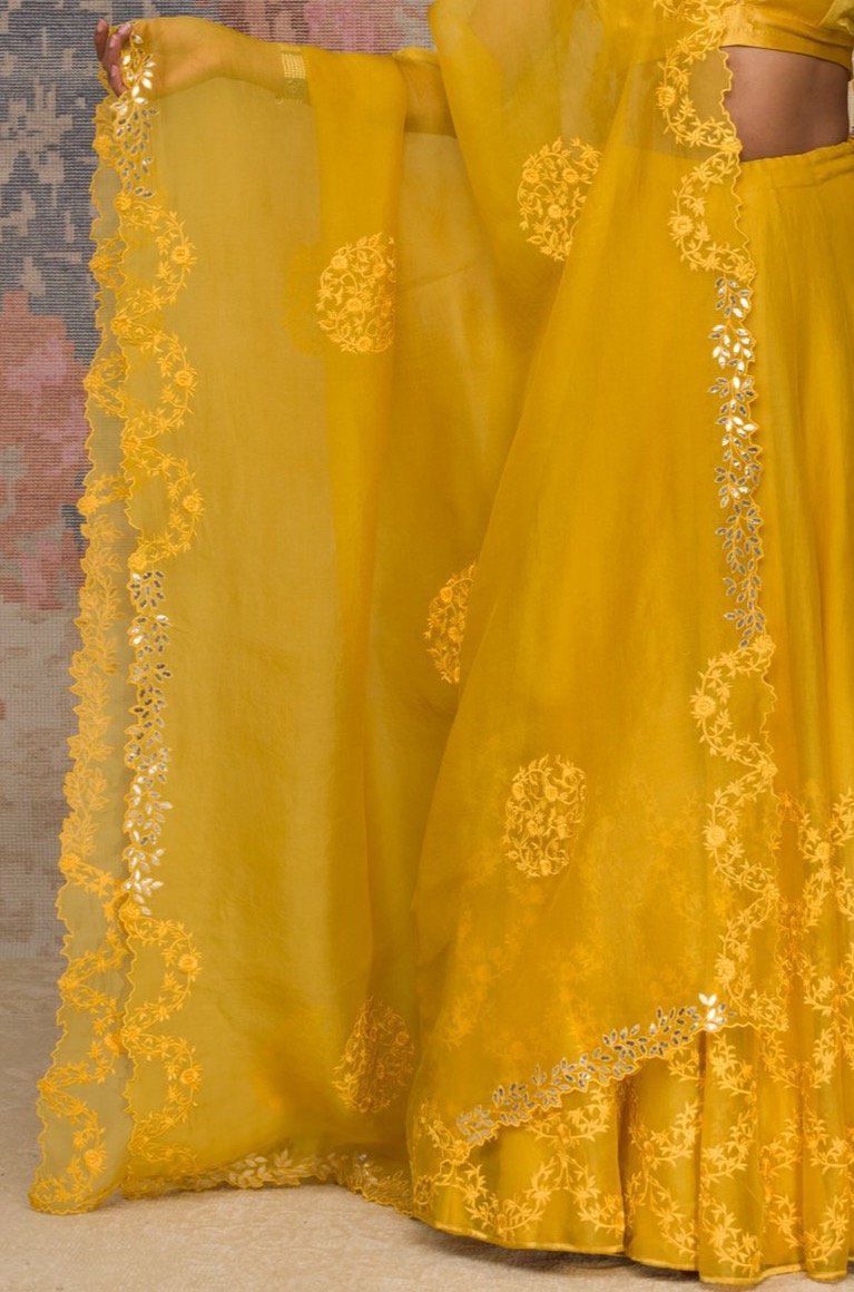 Niki Mehra in Mustard Organza Lehenga Set