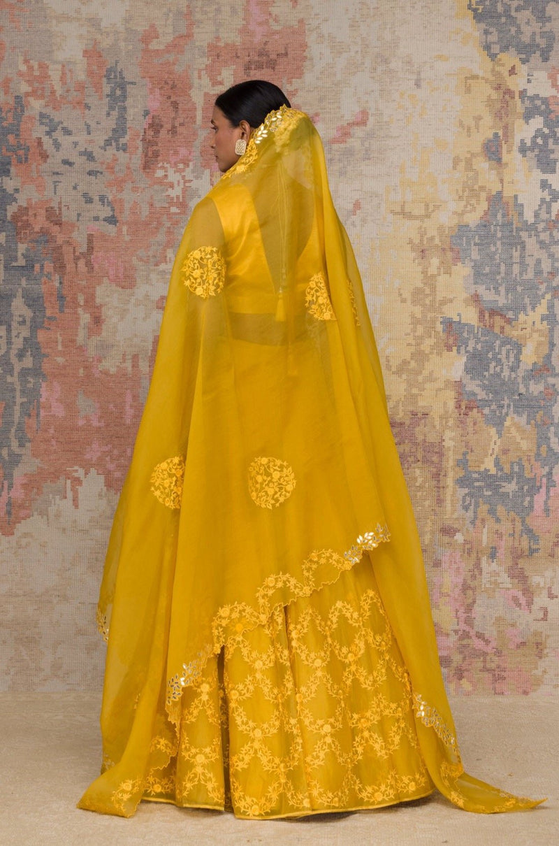 Niki Mehra in Mustard Organza Lehenga Set
