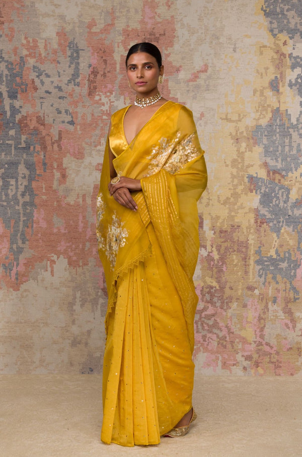 Mustard Hand-Painted Organza Saree