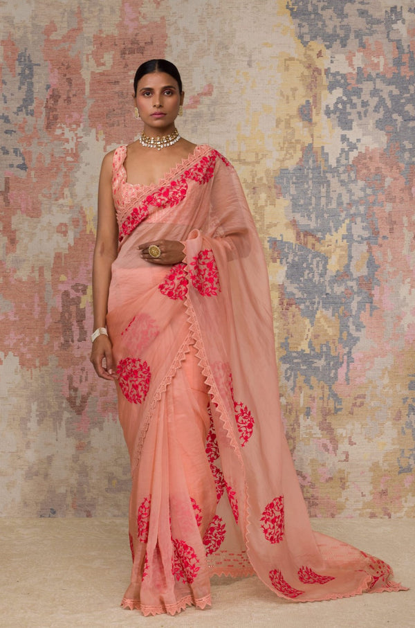 Blush Silk Organza Saree