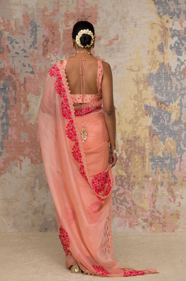 Blush Silk Organza Saree