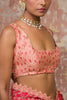Blush Silk Organza Saree