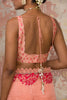 Blush Silk Organza Saree