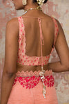 Blush Silk Organza Saree