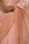 Blush Pink Hand-Painted Organza Saree