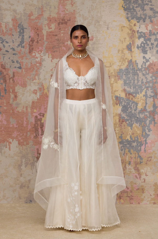 Ivory Organza Sharara Set