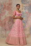 Blush Georgette Lehenga Set