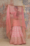 Blush Georgette Lehenga Set