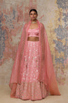 Blush Georgette Lehenga Set