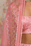 Blush Georgette Lehenga Set