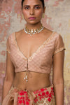 Beige Silk Organza Saree