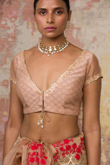 Beige Silk Organza Saree