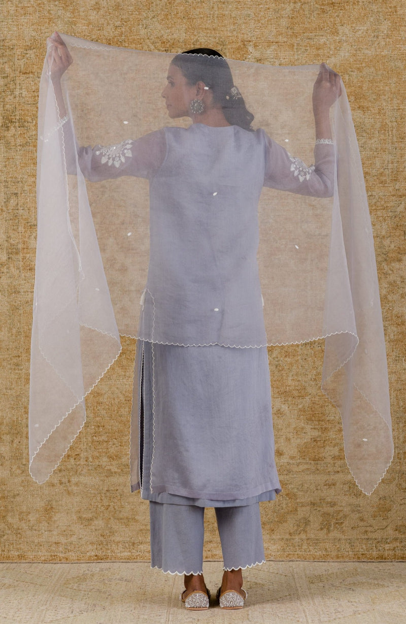 Aegean Blue Embroidered Organza Kurta Set