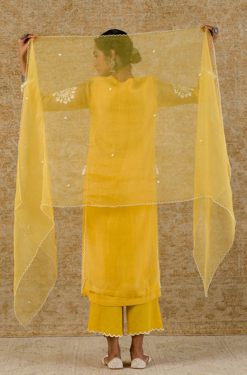 Yellow Embroidered Organza Kurta Set