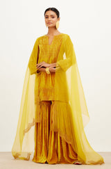 Mrunal Thakur in Mustard Zari Embroidered Velvet Sharara Set
