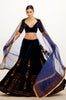 Navy Blue Zari Embroidered Velvet Lehenga Set
