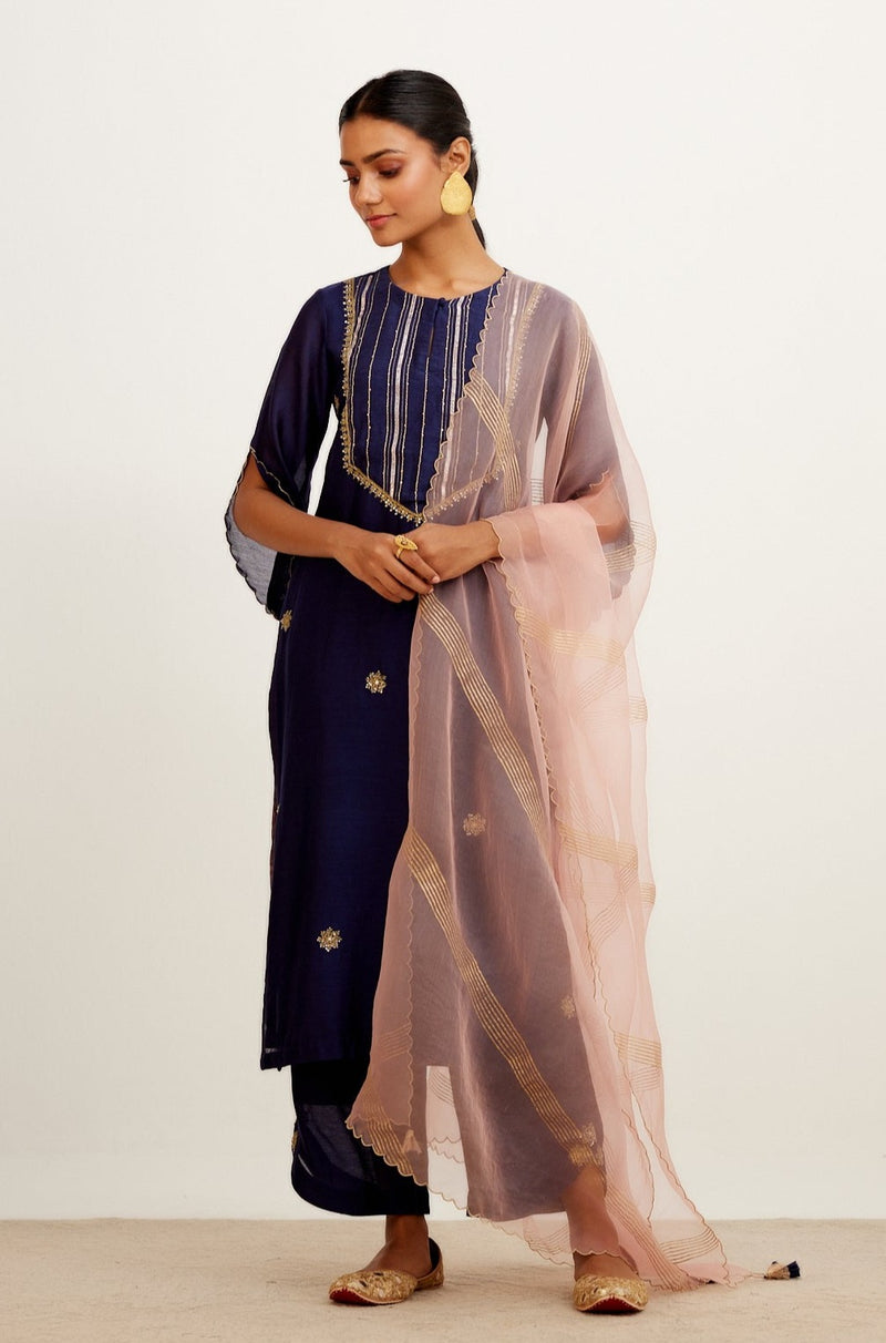 Navy Blue Hand Embroidered Kurta Set