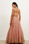 Rose Organza Lehenga Set