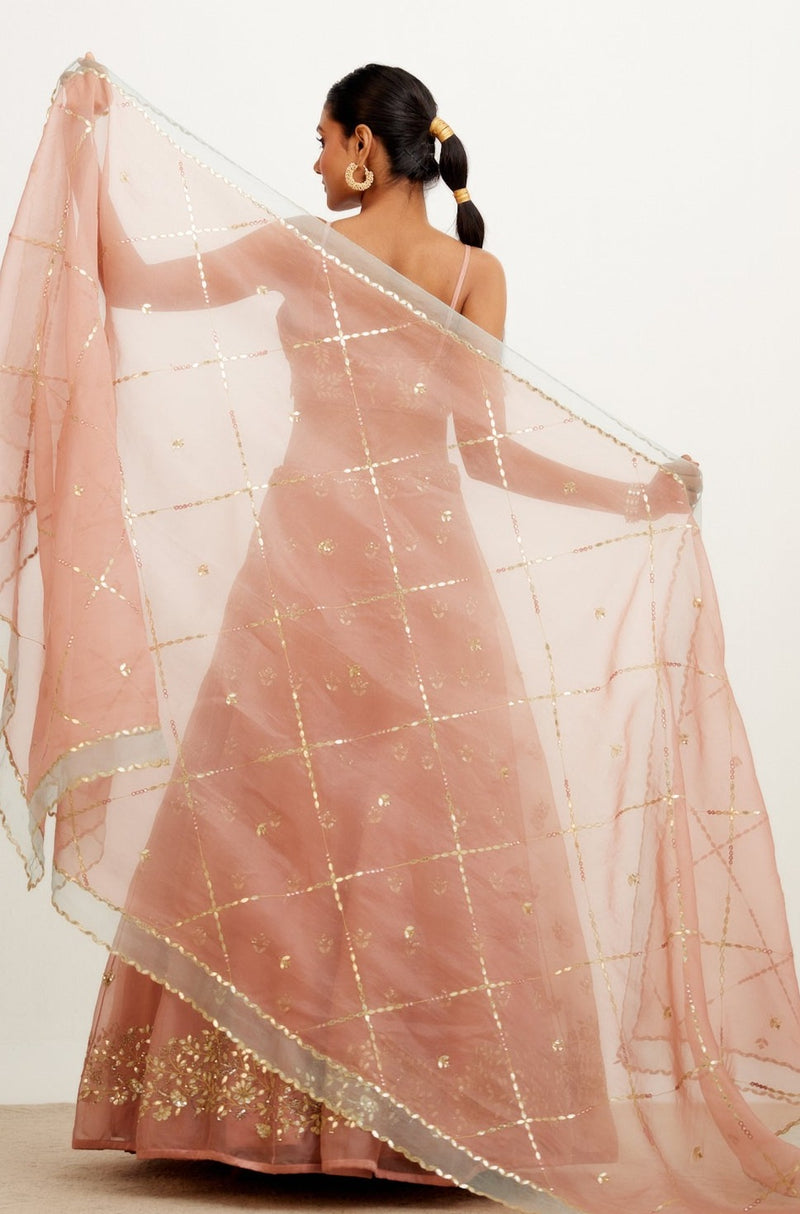 Rose Organza Lehenga Set