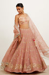 Rose Organza Lehenga Set