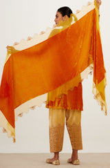 Saffron Zari Embroidered Velvet Salwar Set