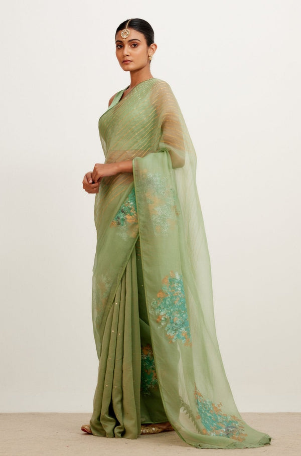 Sage Green Hand-Painted Organza Saree