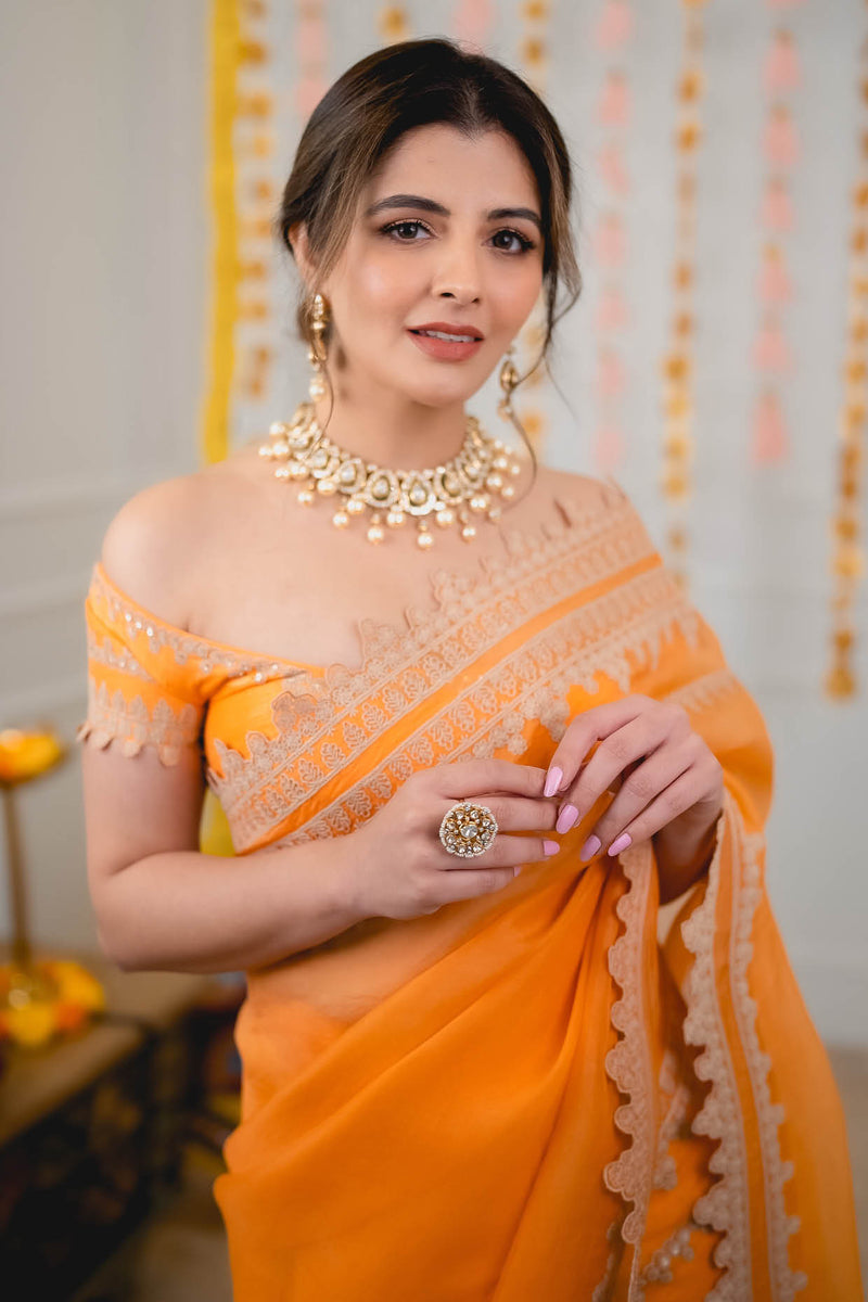 Natasha Luthra in Orange Embroidered Georgette Organza Saree