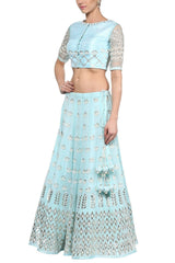 Sky Blue and Champagne Gota Patti Embroidered Lehenga Set - devnaagri