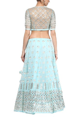 Sky Blue and Champagne Gota Patti Embroidered Lehenga Set - devnaagri