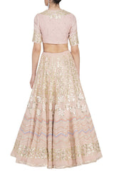 Blush Pink Georgette Lehenga with Mul Mukaish Blouse - devnaagri