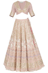 Blush Pink Georgette Lehenga with Mul Mukaish Blouse - devnaagri