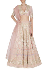 Blush Pink Georgette Lehenga with Mul Mukaish Blouse - devnaagri