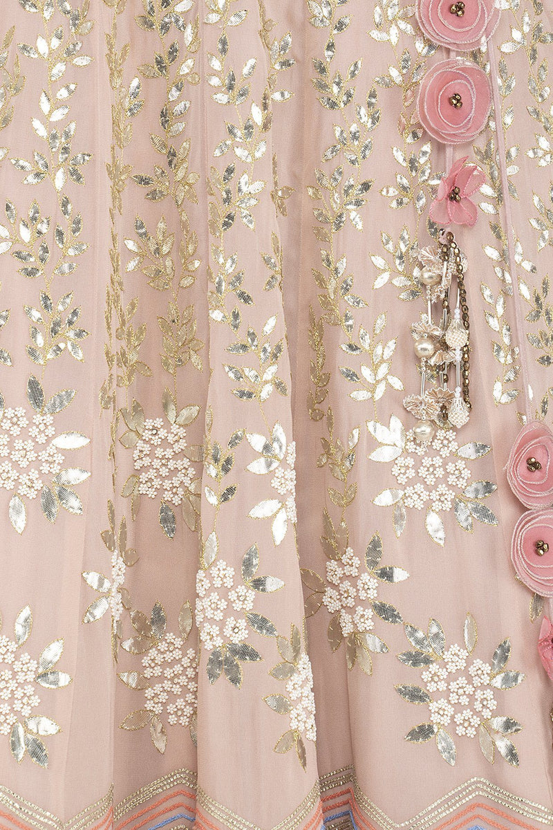 Blush Pink Georgette Lehenga with Mul Mukaish Blouse - devnaagri