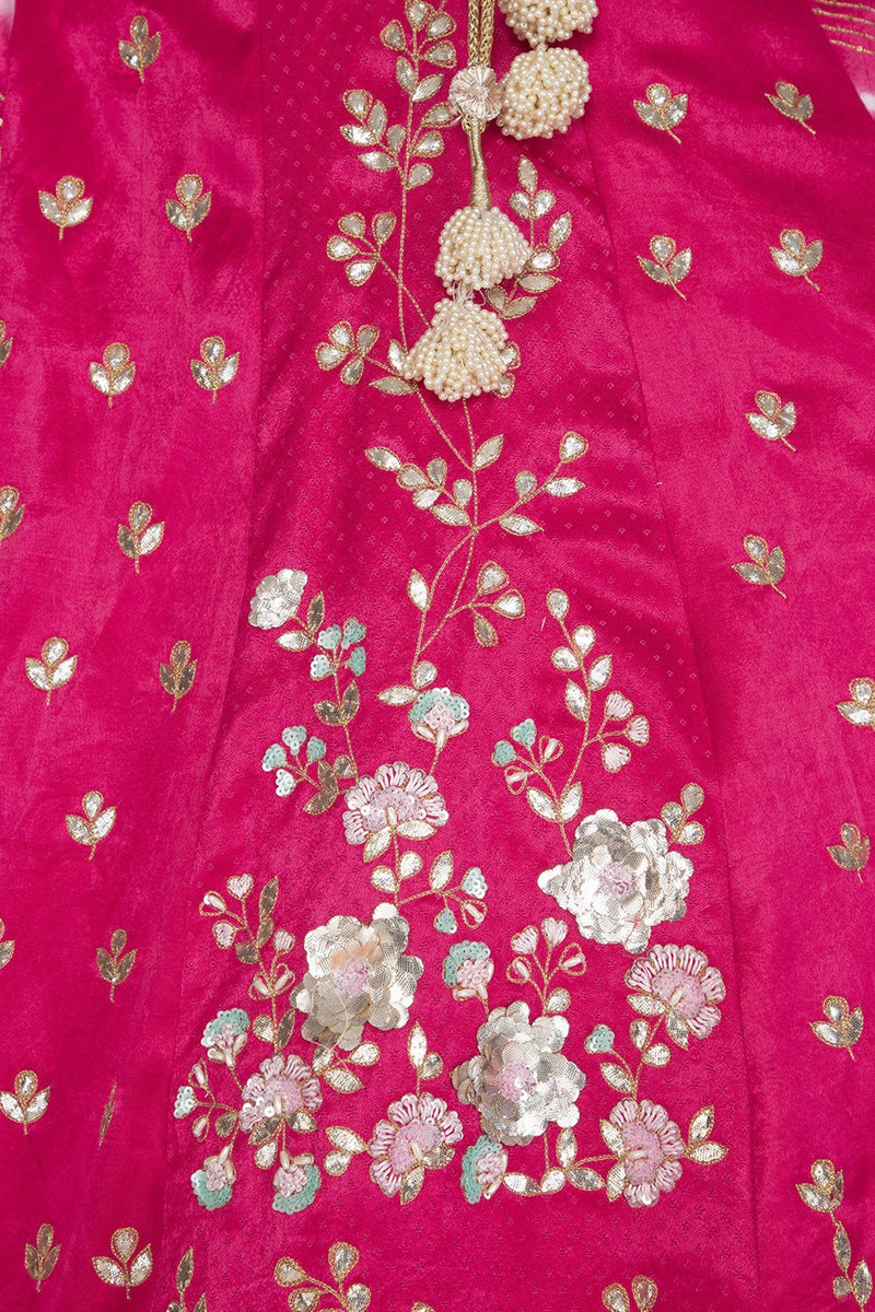 Fuschia Panelled Gajji Lehenga with Self Gajji Blouse - devnaagri