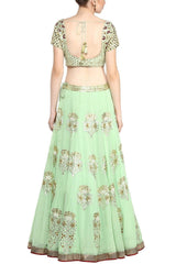 Mint Green Gota Patti Lehenga with Green Embroidered Blouse - devnaagri