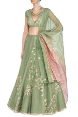 Green Georgette Lehenga with Raw Silk Blouse - devnaagri