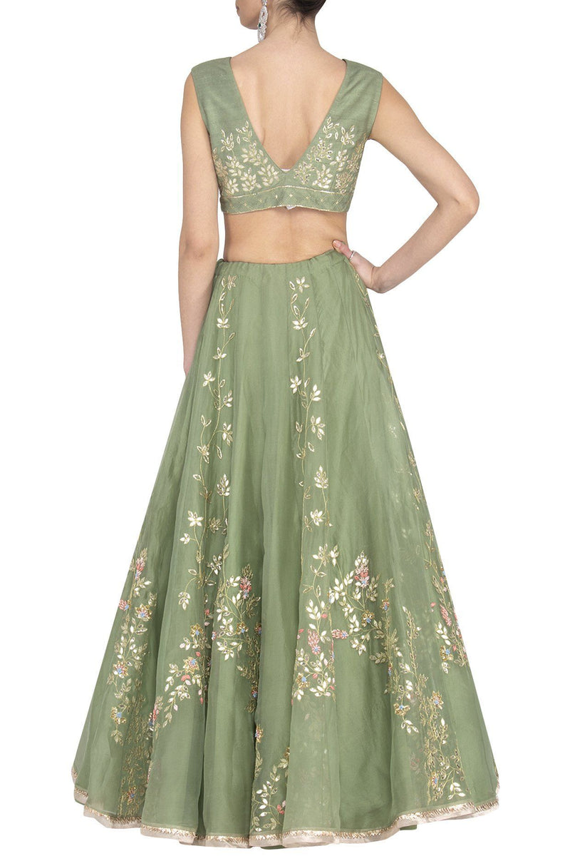 Green Georgette Lehenga with Raw Silk Blouse - devnaagri