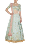 Sage green Lehenga with Silk Blouse - devnaagri