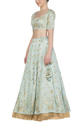 Sage green Lehenga with Silk Blouse - devnaagri