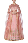 Pink Lehenga with raw silk blouse - devnaagri