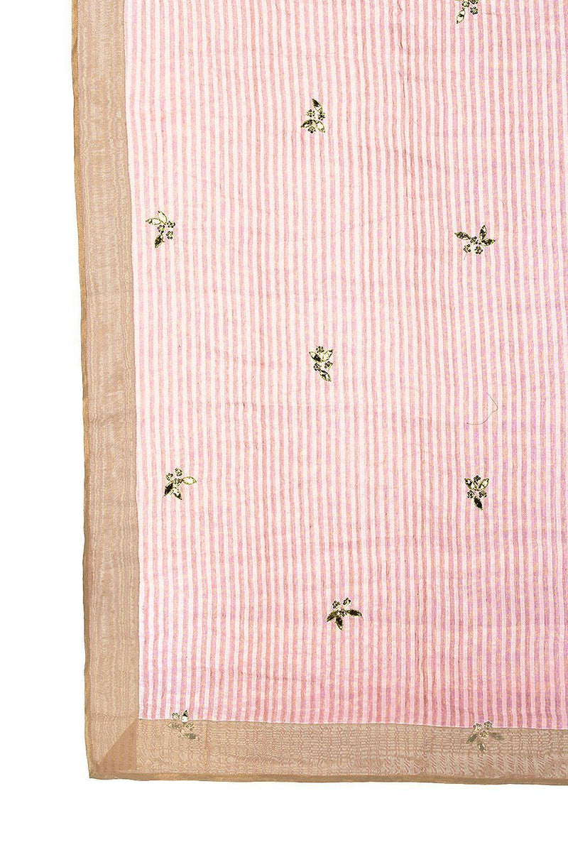 Pink Lehenga with raw silk blouse - devnaagri