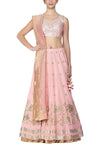 Pink Lehenga with raw silk blouse - devnaagri