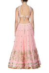 Pink Lehenga with raw silk blouse - devnaagri