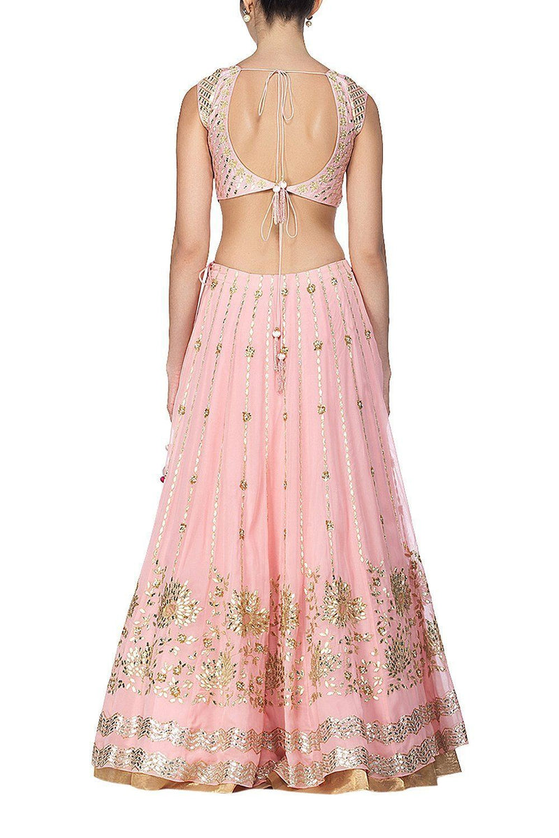 Pink Lehenga with raw silk blouse - devnaagri