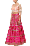 Pink Gota Patti Embroidered Lehenga with Double Dupatta - devnaagri