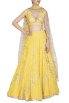 Lemon Georgette Lehenga with Raw Silk Blouse - devnaagri